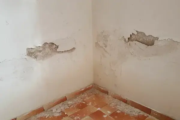 Expert Damage Restoration Services